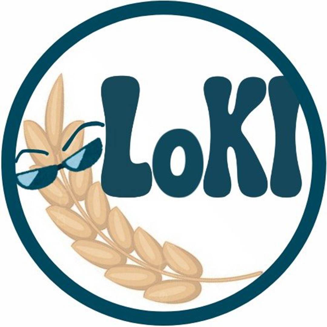 Loki